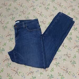 Eileen Fisher Skinny Jean High Rise Blue Denim Size 6 Casual Organic Cotton